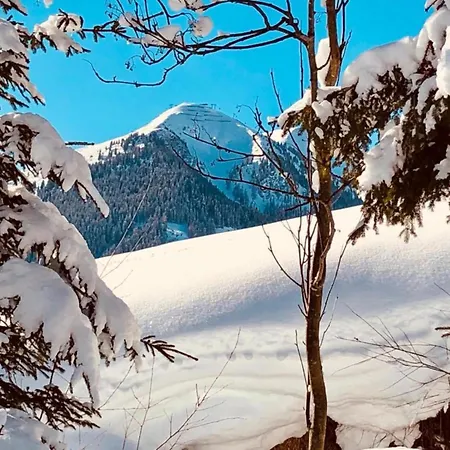 Lejlighed In Near Slopes, Cleaning Included