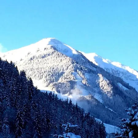 Lejlighed In Near Slopes, Cleaning Included *