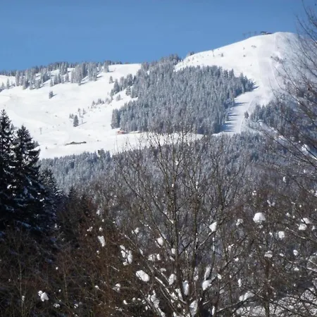 In Near Slopes, Cleaning Included Lejlighed Saalbach-Hinterglemm